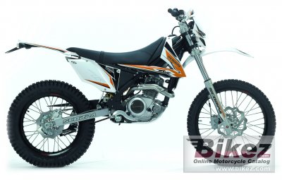 2010 Scorpa T-Ride 124-4T photo